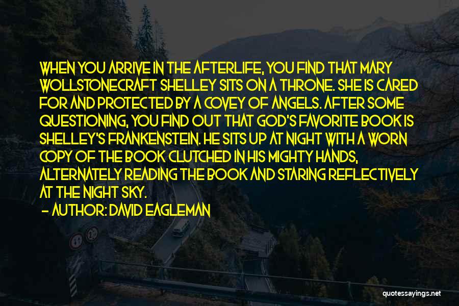 Sky At Night Quotes By David Eagleman