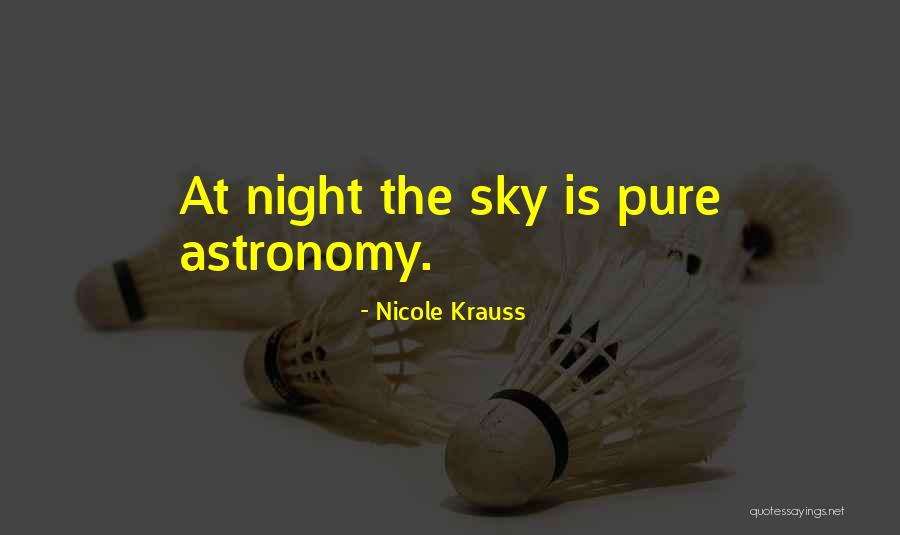 Sky At Night Quotes By Nicole Krauss