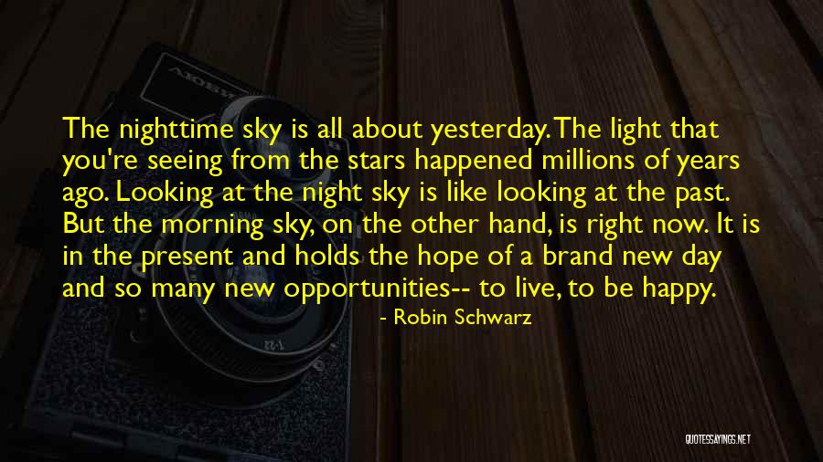 Sky At Night Quotes By Robin Schwarz