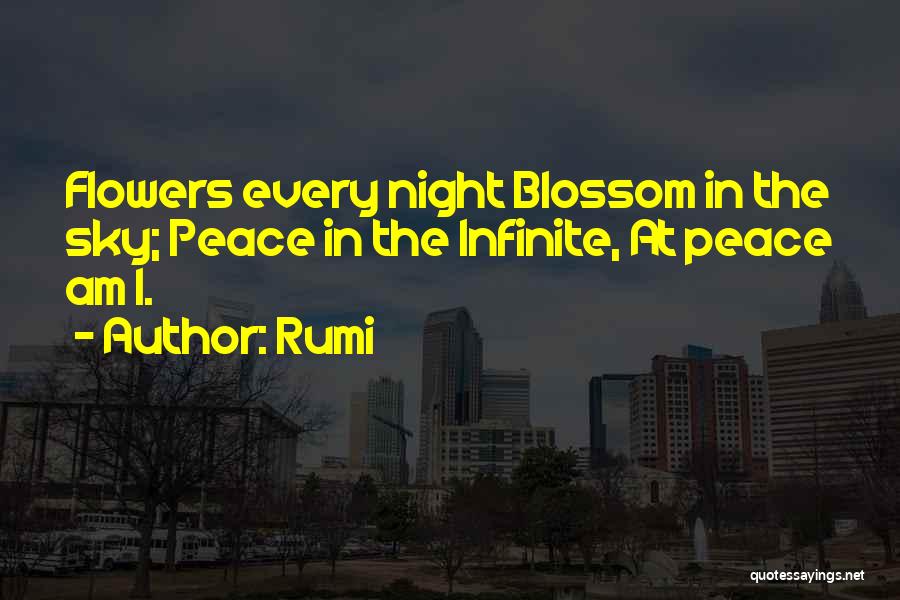 Sky At Night Quotes By Rumi