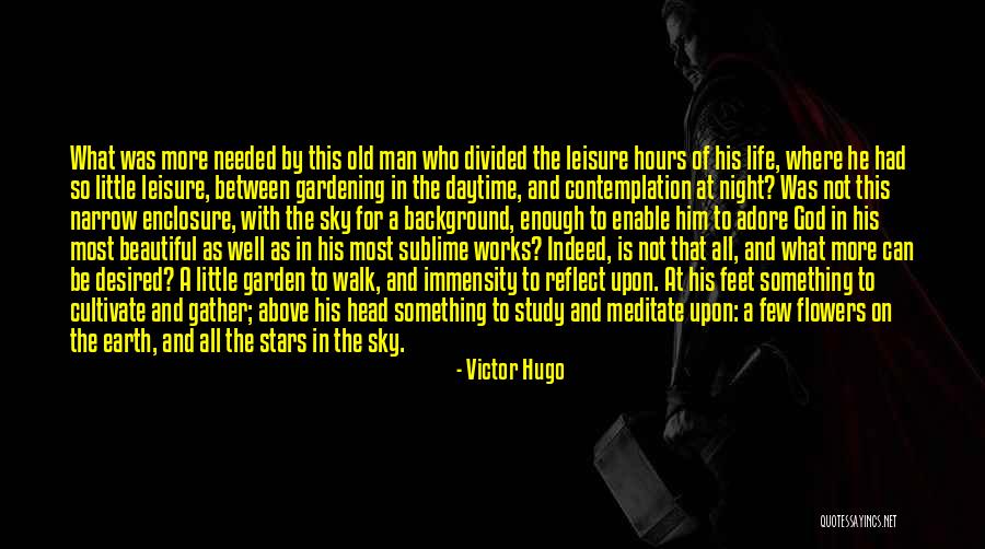 Sky At Night Quotes By Victor Hugo