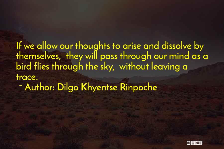 Sky Bird Quotes By Dilgo Khyentse Rinpoche