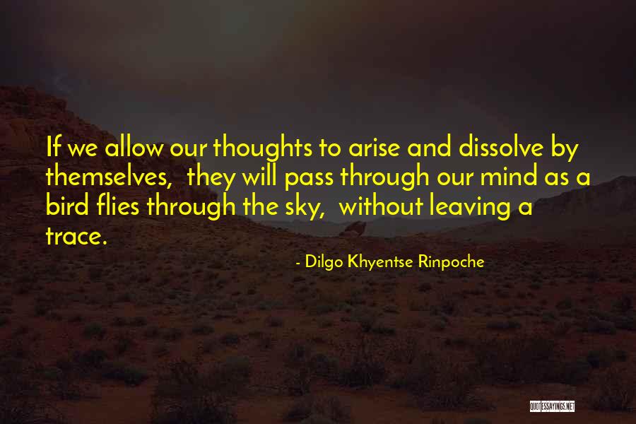 Sky Bird Quotes By Dilgo Khyentse Rinpoche