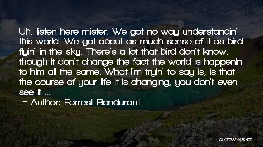 Sky Bird Quotes By Forrest Bondurant