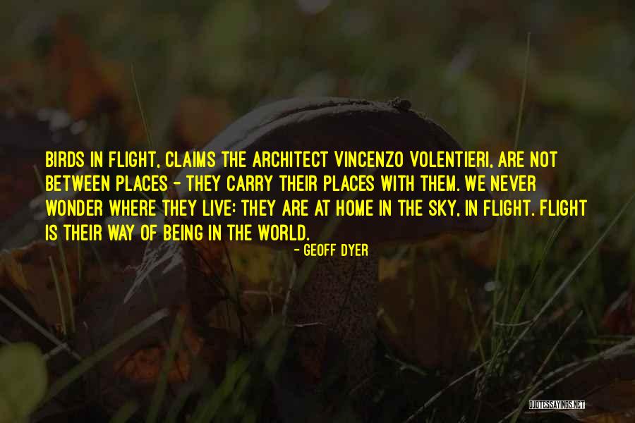 Sky Bird Quotes By Geoff Dyer