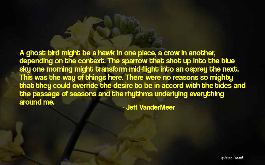 Sky Bird Quotes By Jeff VanderMeer