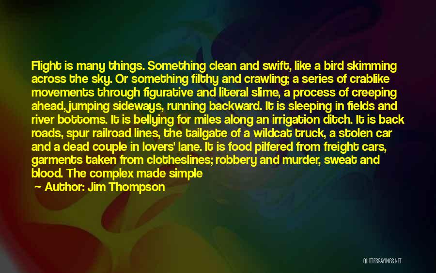 Sky Bird Quotes By Jim Thompson