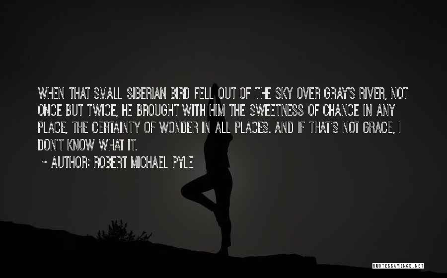 Sky Bird Quotes By Robert Michael Pyle