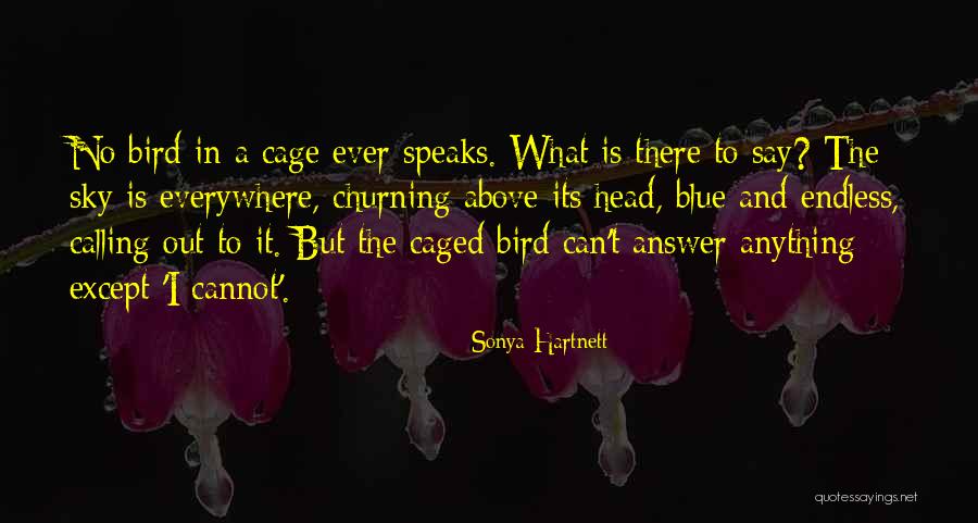 Sky Bird Quotes By Sonya Hartnett