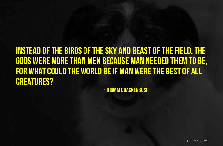 Sky Bird Quotes By Thomm Quackenbush