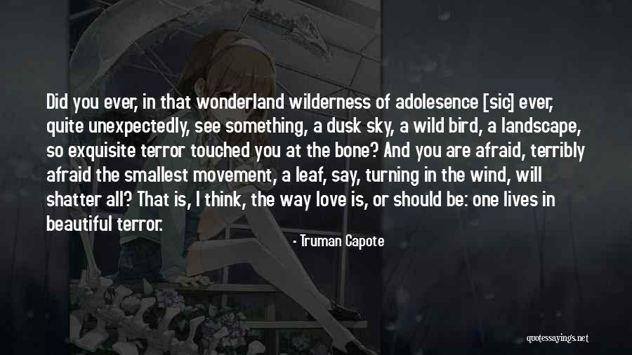 Sky Bird Quotes By Truman Capote