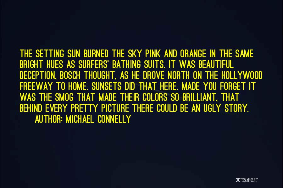 Sky Colors Quotes By Michael Connelly