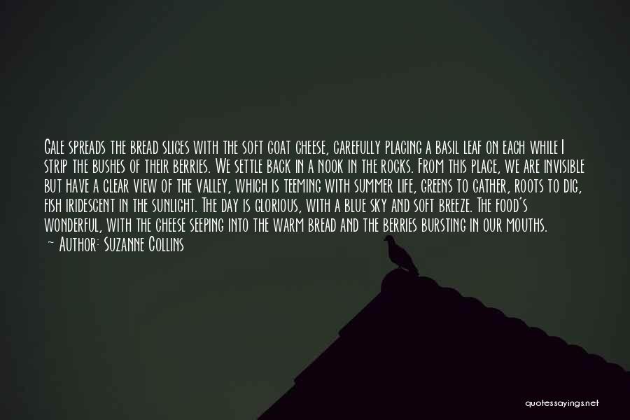 Sky Dig Quotes By Suzanne Collins