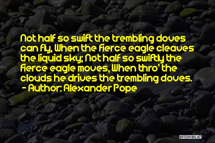 Sky Eagle Quotes By Alexander Pope