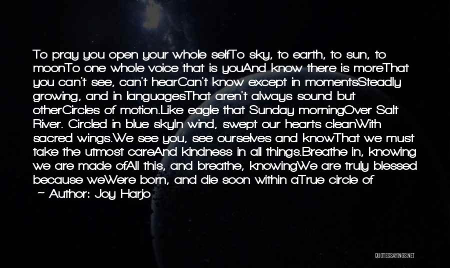 Sky Eagle Quotes By Joy Harjo