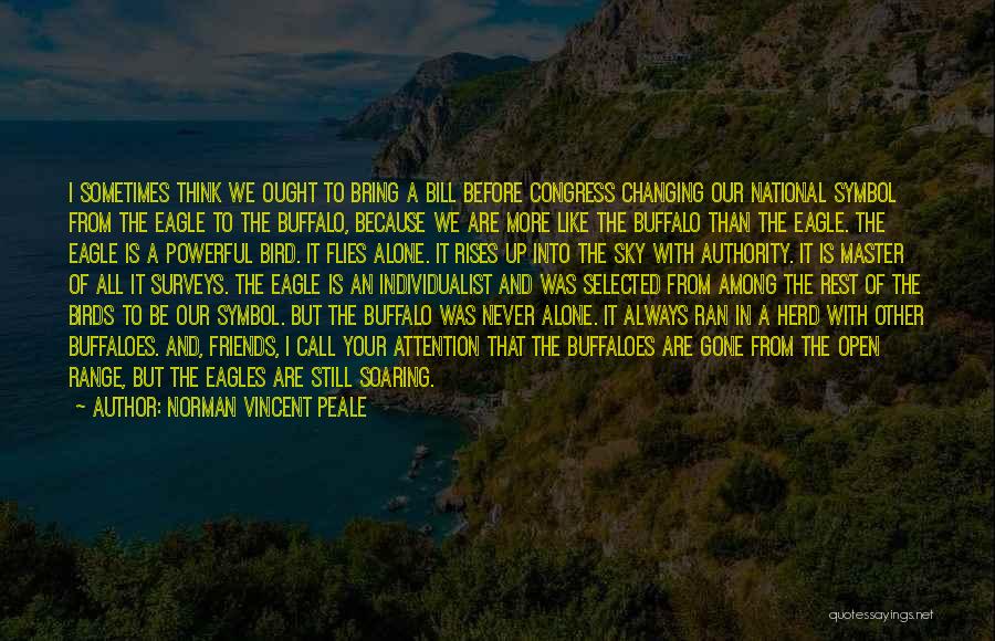 Sky Eagle Quotes By Norman Vincent Peale