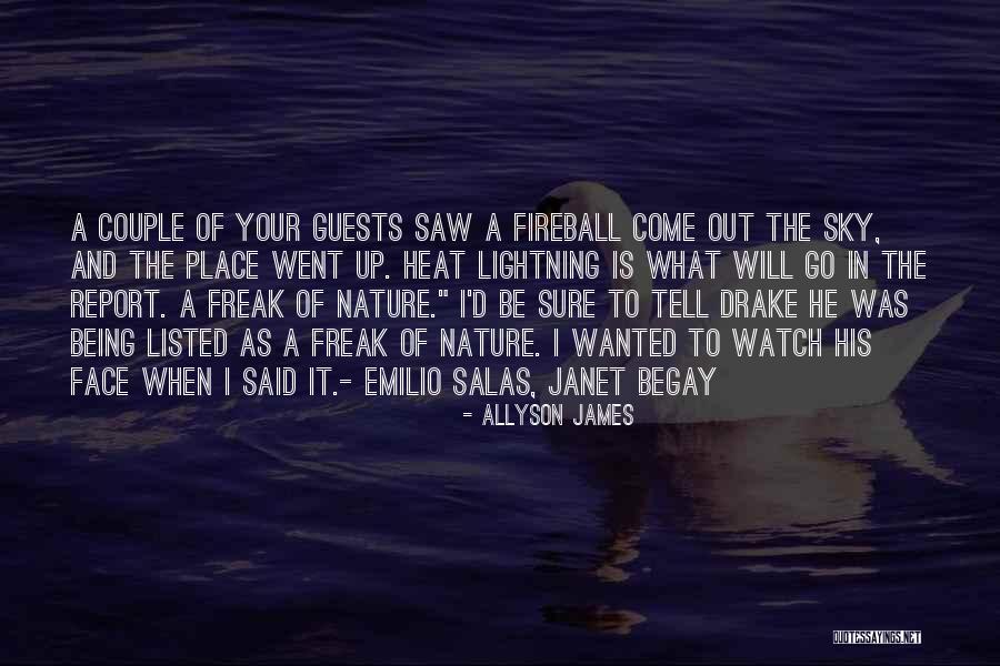 Sky Fire Quotes By Allyson James