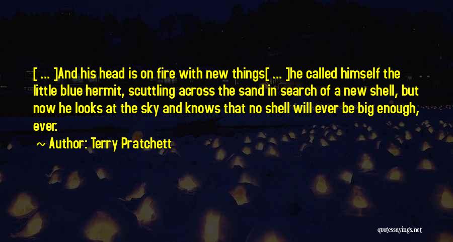 Sky Fire Quotes By Terry Pratchett