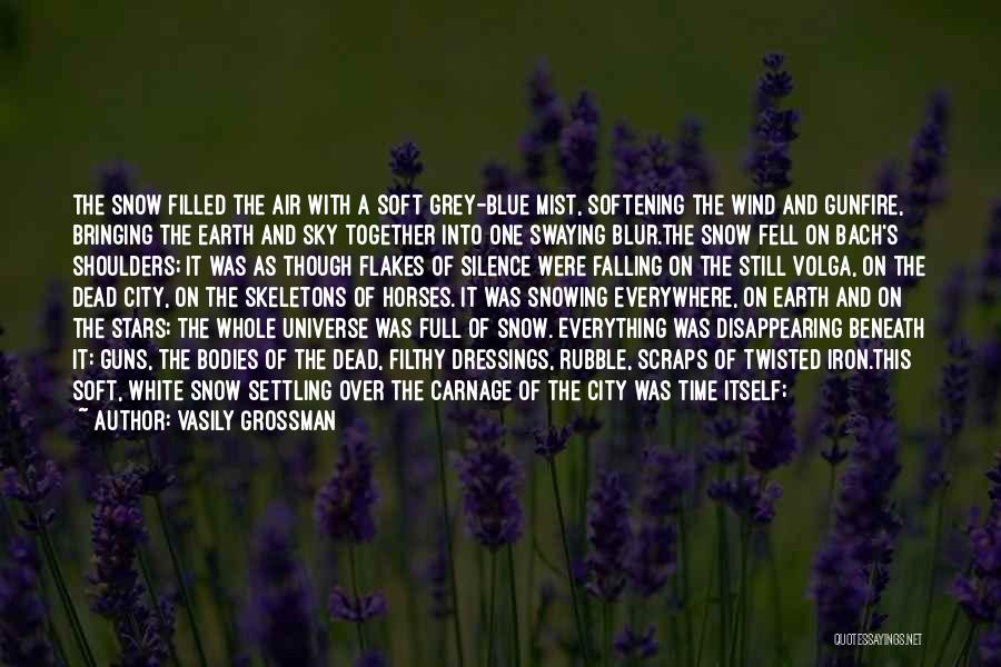 Sky Full Of Stars Quotes By Vasily Grossman