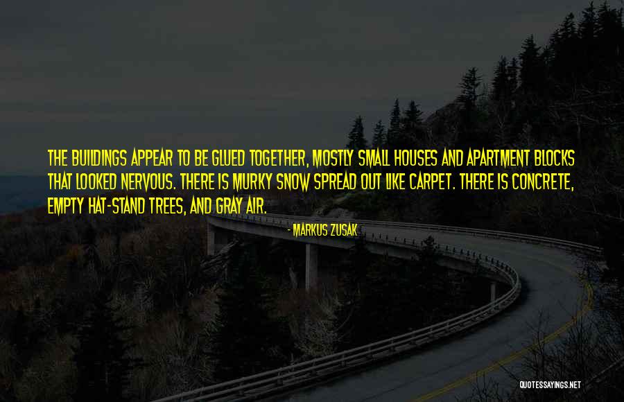 Sky In The Book Thief Quotes By Markus Zusak Sky In The Book Thief Quotes By Markus Zusak