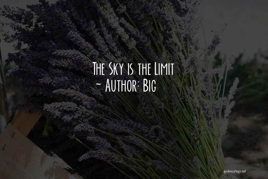Sky Limit Quotes By Big
