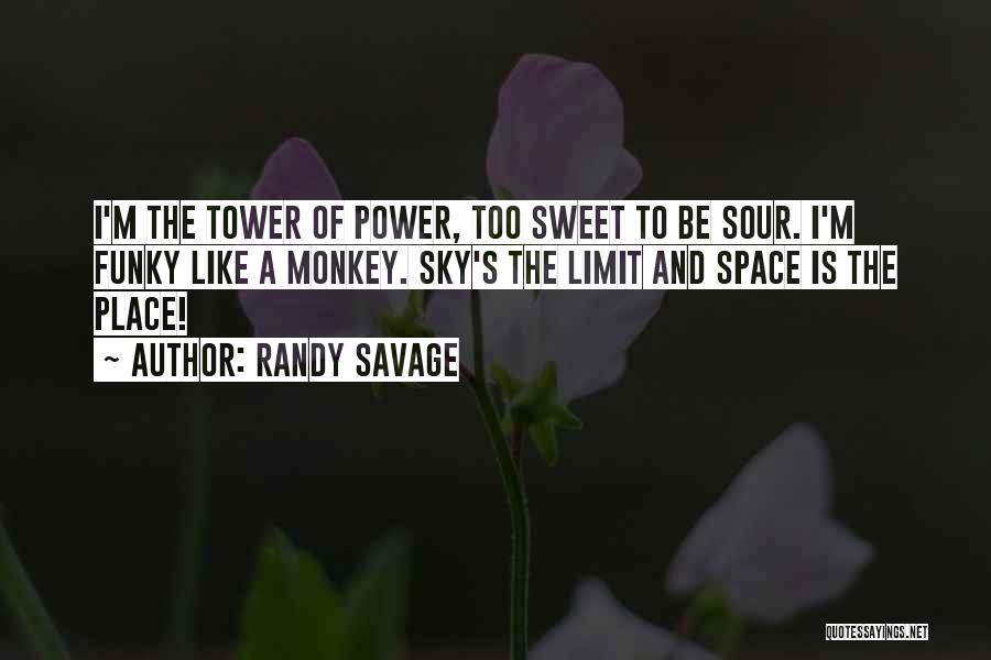 Sky Limit Quotes By Randy Savage