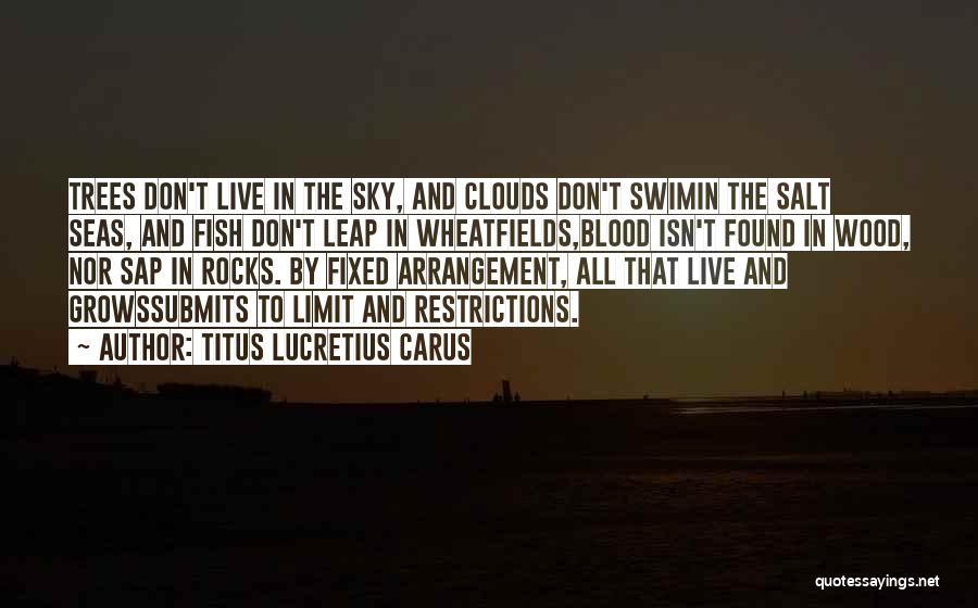 Sky Limit Quotes By Titus Lucretius Carus