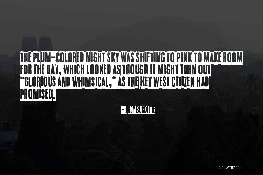 Sky Night Quotes By Lucy Burdette Sky Night Quotes By Lucy Burdette