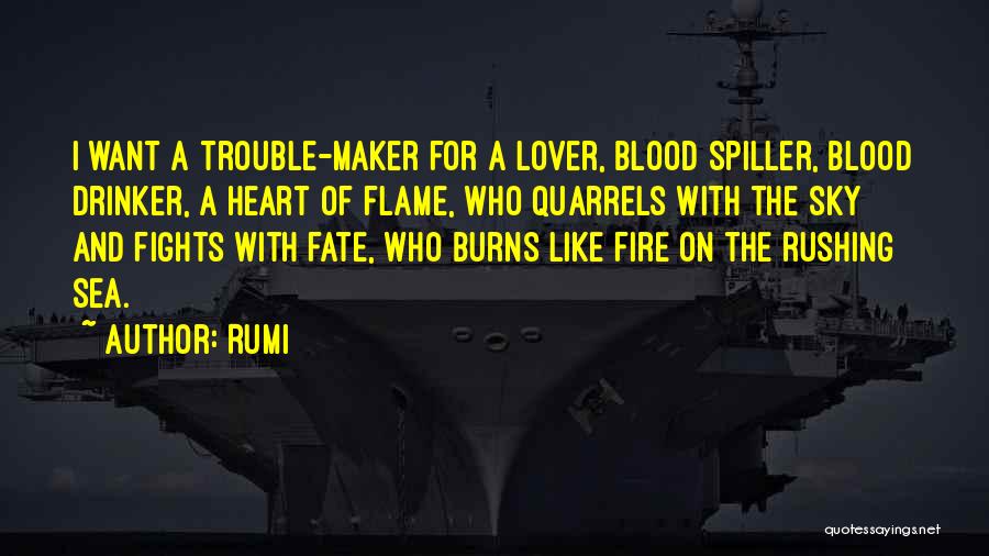 Sky On Fire Quotes By Rumi