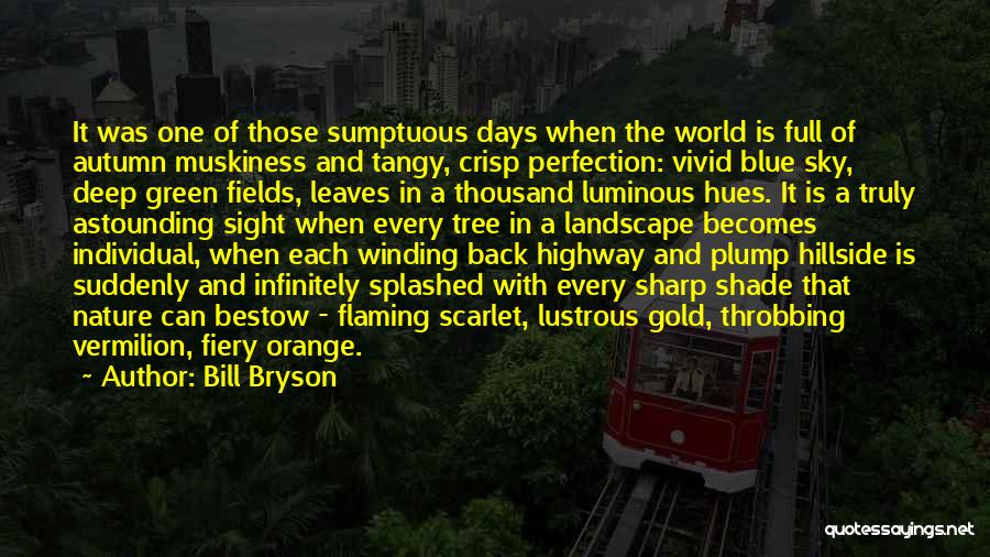 Sky Orange Quotes By Bill Bryson