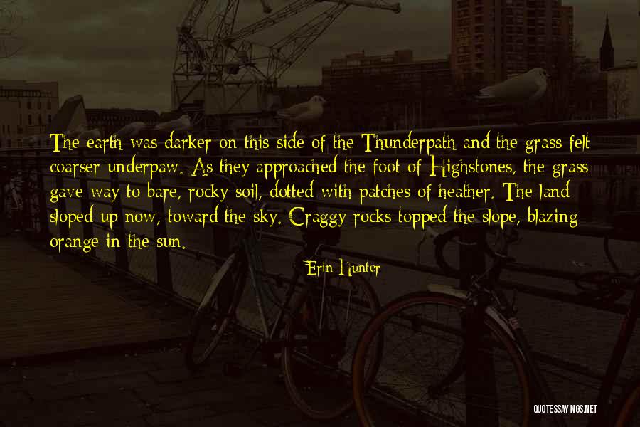 Sky Orange Quotes By Erin Hunter Sky Orange Quotes By Erin Hunter