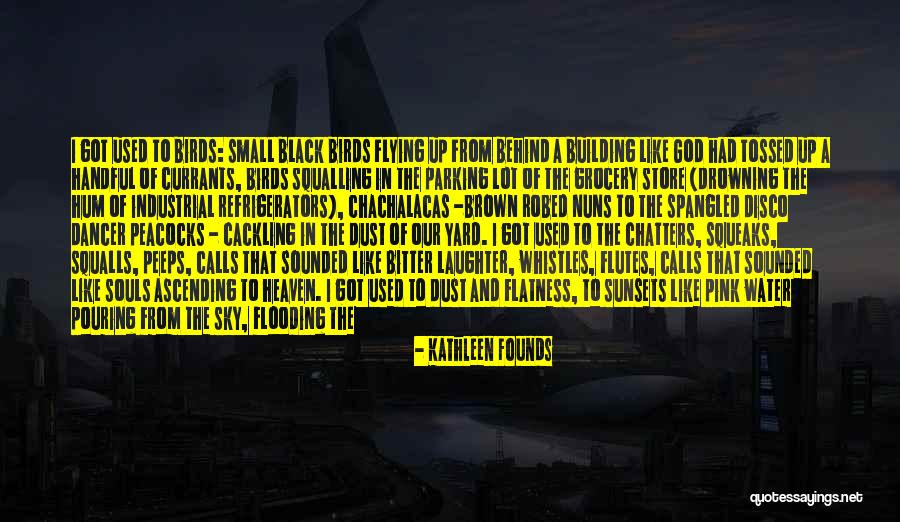 Sky Orange Quotes By Kathleen Founds Sky Orange Quotes By Kathleen Founds