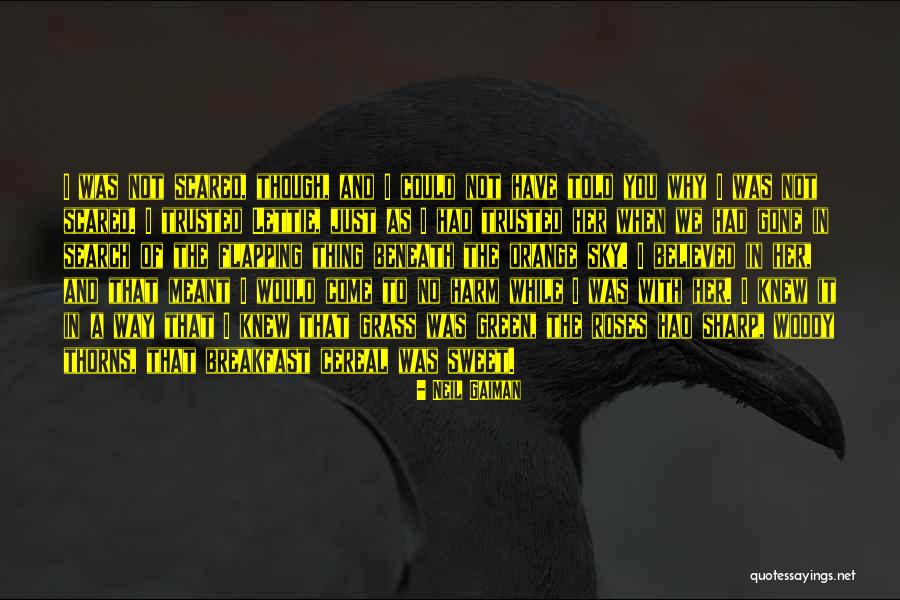 Sky Orange Quotes By Neil Gaiman Sky Orange Quotes By Neil Gaiman