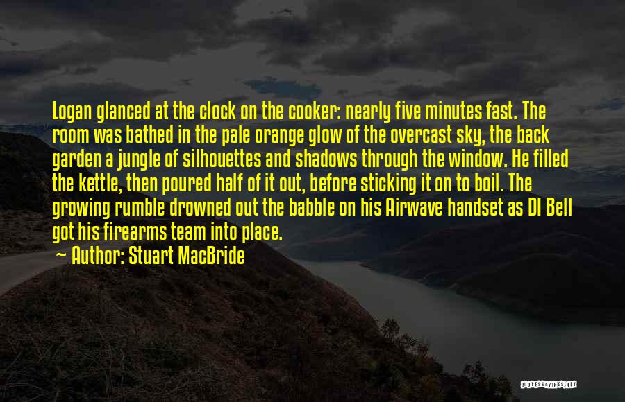 Sky Orange Quotes By Stuart MacBride
