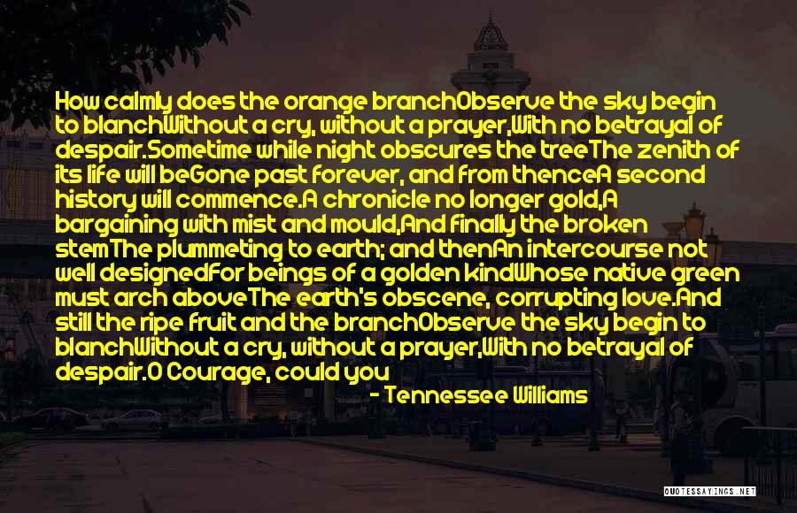 Sky Orange Quotes By Tennessee Williams Sky Orange Quotes By Tennessee Williams