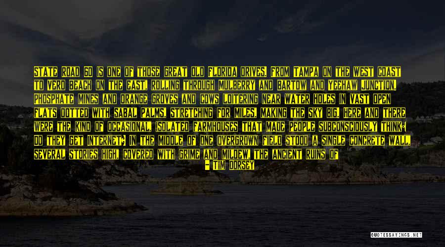 Sky Orange Quotes By Tim Dorsey Sky Orange Quotes By Tim Dorsey