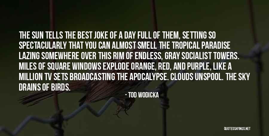 Sky Orange Quotes By Tod Wodicka