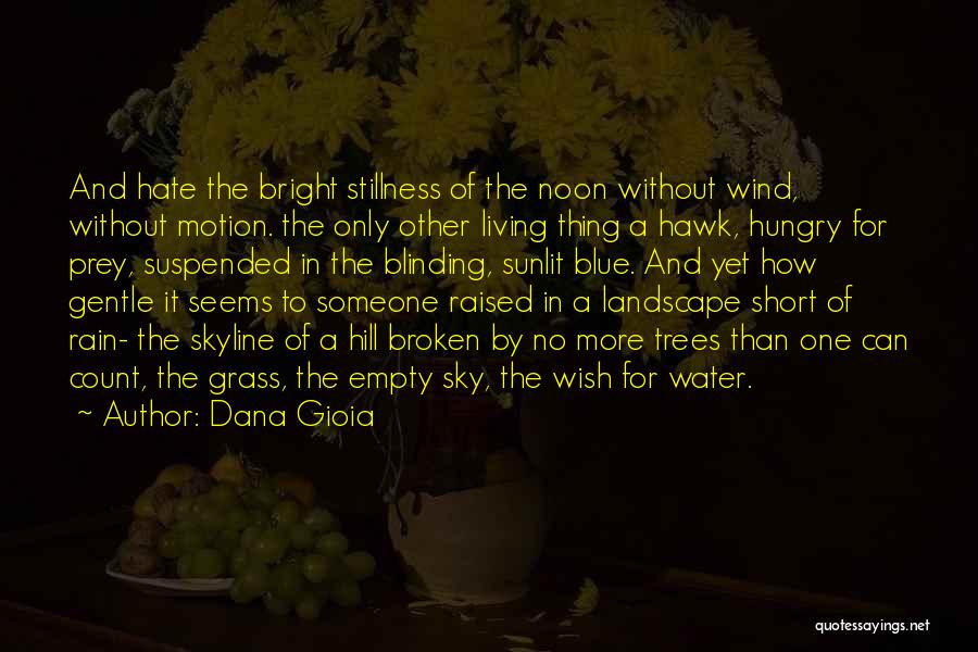 Sky Short Quotes By Dana Gioia