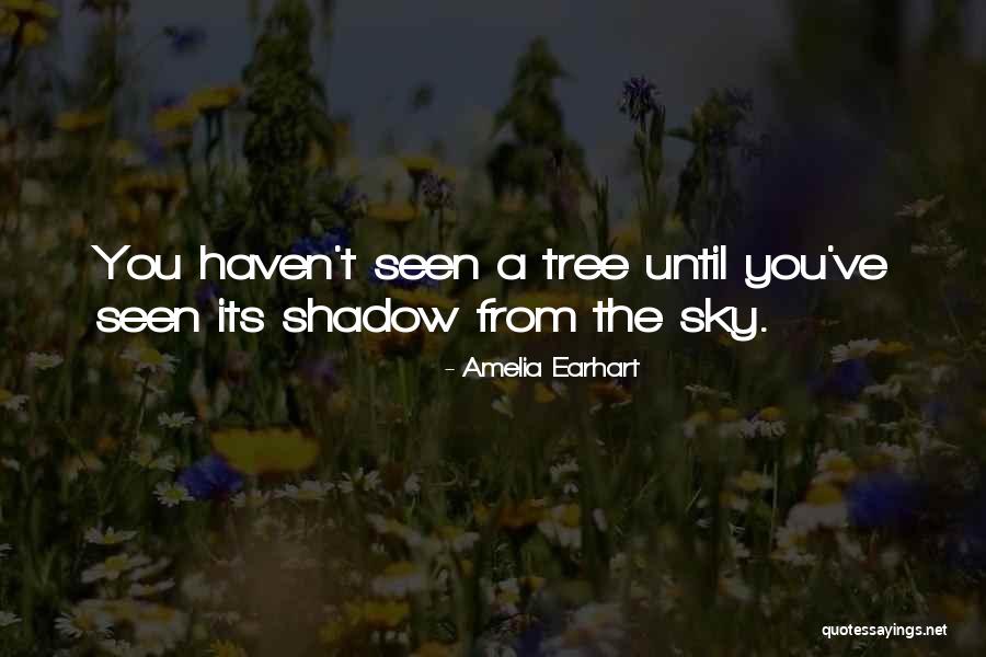 Sky Tree Quotes By Amelia Earhart