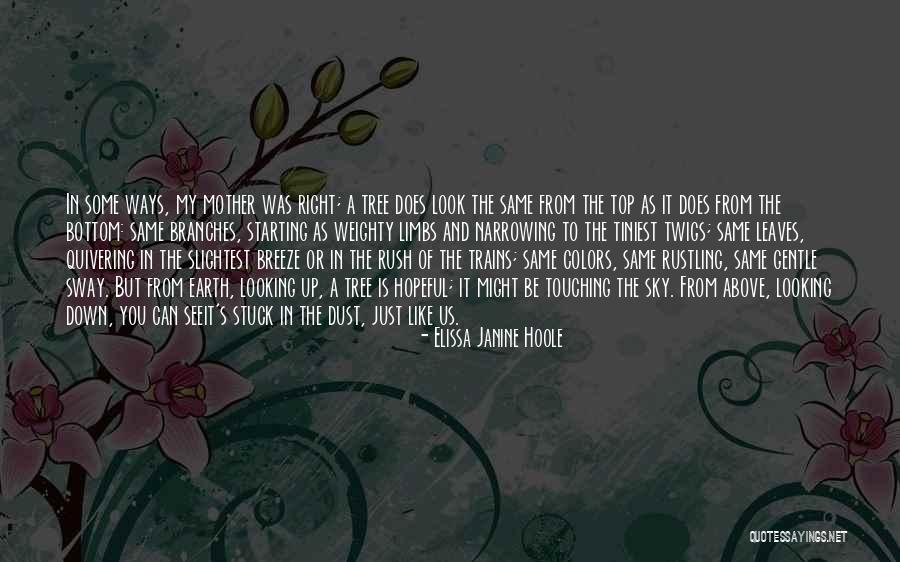 Sky Tree Quotes By Elissa Janine Hoole Sky Tree Quotes By Elissa Janine Hoole