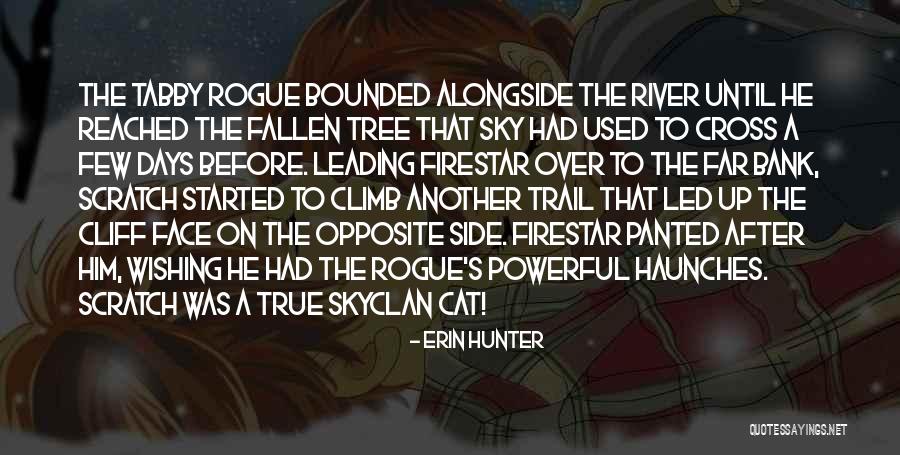 Sky Tree Quotes By Erin Hunter