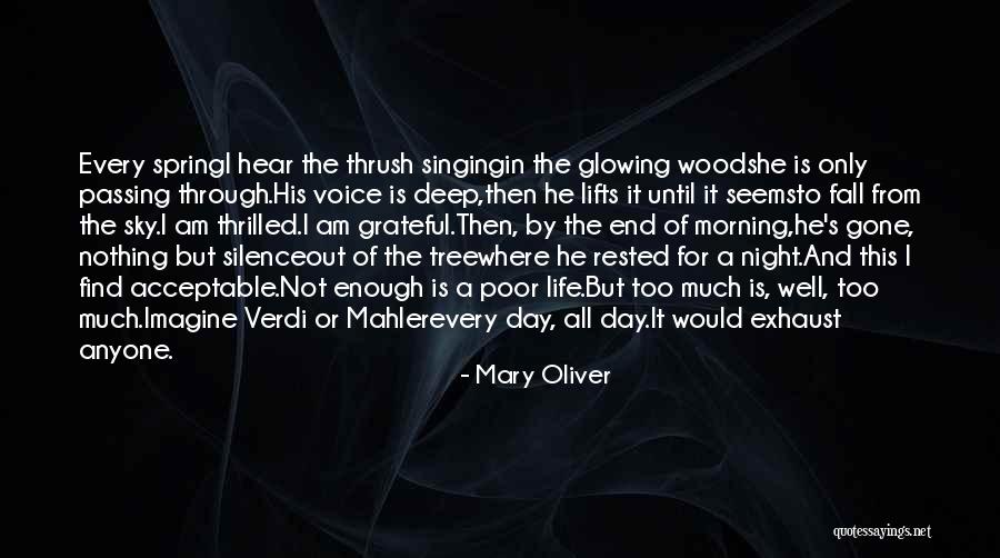 Sky Tree Quotes By Mary Oliver