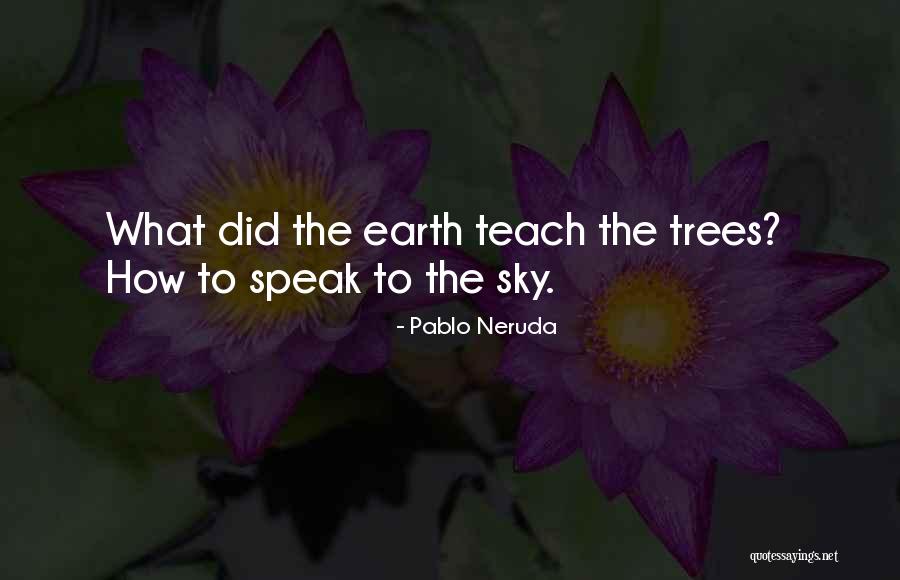 Sky Tree Quotes By Pablo Neruda Sky Tree Quotes By Pablo Neruda