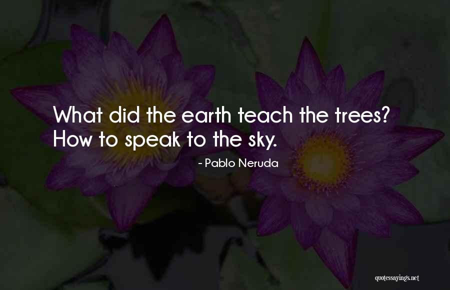 Sky Tree Quotes By Pablo Neruda