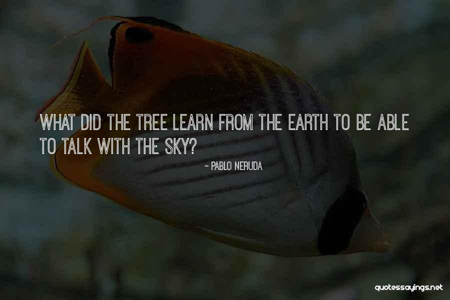 Sky Tree Quotes By Pablo Neruda Sky Tree Quotes By Pablo Neruda