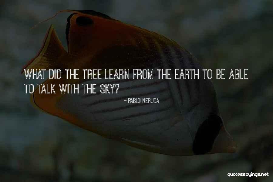 Sky Tree Quotes By Pablo Neruda