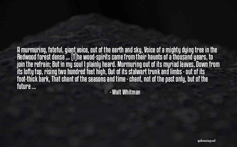 Sky Tree Quotes By Walt Whitman