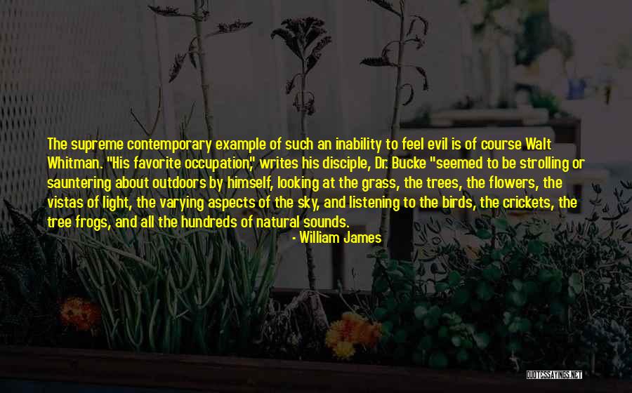 Sky Tree Quotes By William James