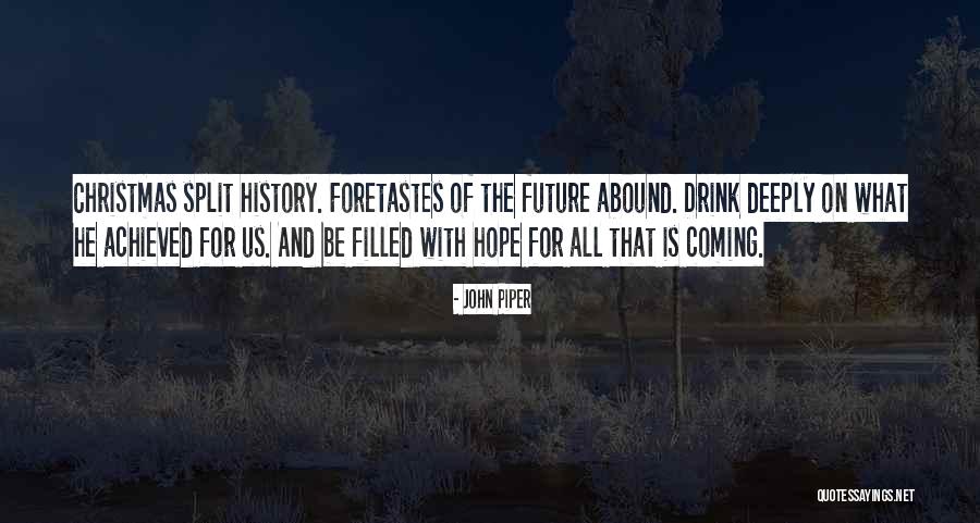 Skybirds Quotes By John Piper Skybirds Quotes By John Piper