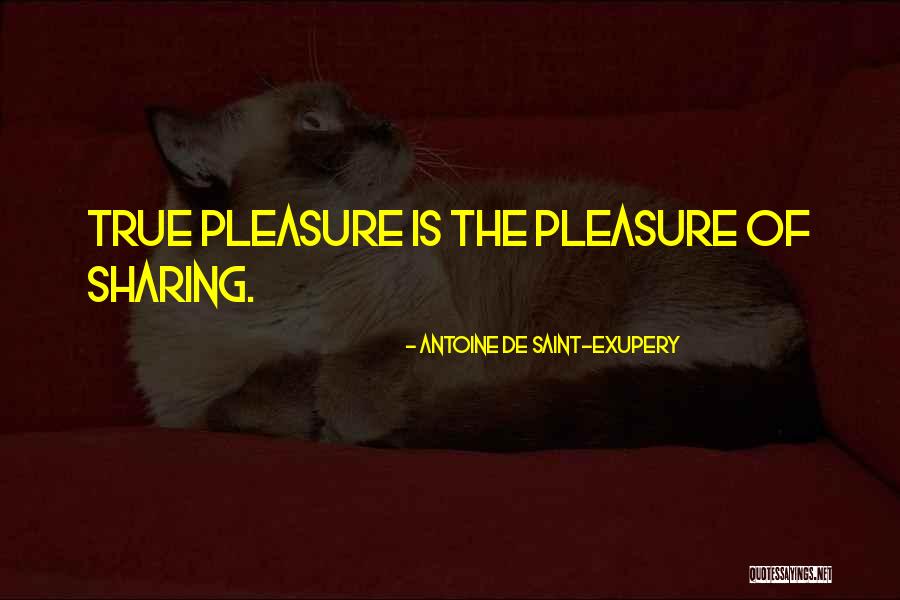 Skycam Hd Quotes By Antoine De Saint-Exupery Skycam Hd Quotes By Antoine De Saint-Exupery